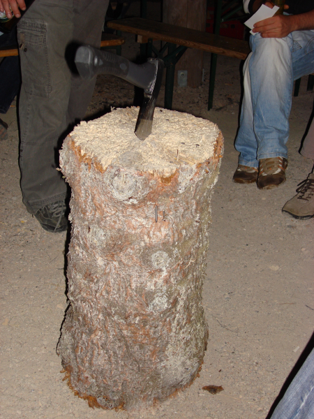 RHF 2007 51