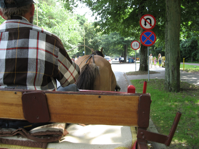 RHF-2007 Treffen