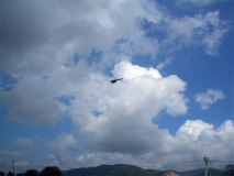 Rundflug