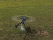 Hovering Raptor