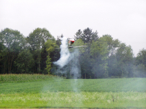 ..plötzlich kam lauter Nebel auf...