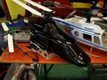 Warburg2005