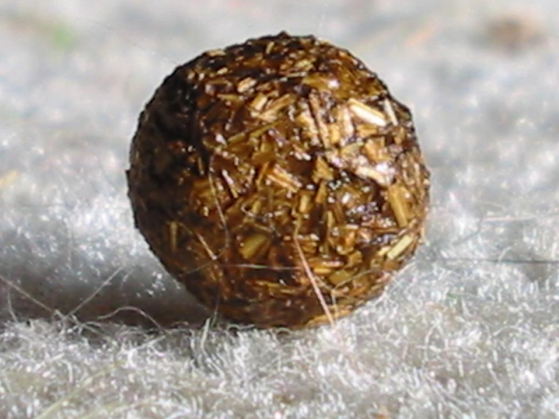 Ratestunde: Was ist das ?