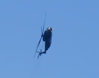 CH 53