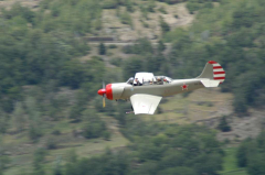 Flugtage Raron 2006