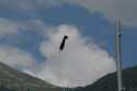 Flugtage Raron 2006