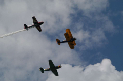 Flugtage Raron 2006