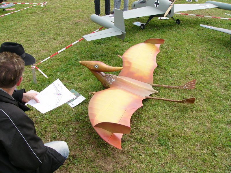 Bilder vom E-Meeting 2006 in Aspach