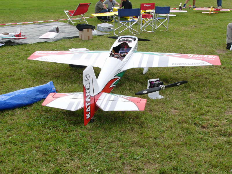 E-Meeting 2006 in Aspach