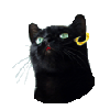 Benutzeravatar