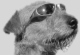Benutzeravatar