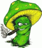 Benutzeravatar