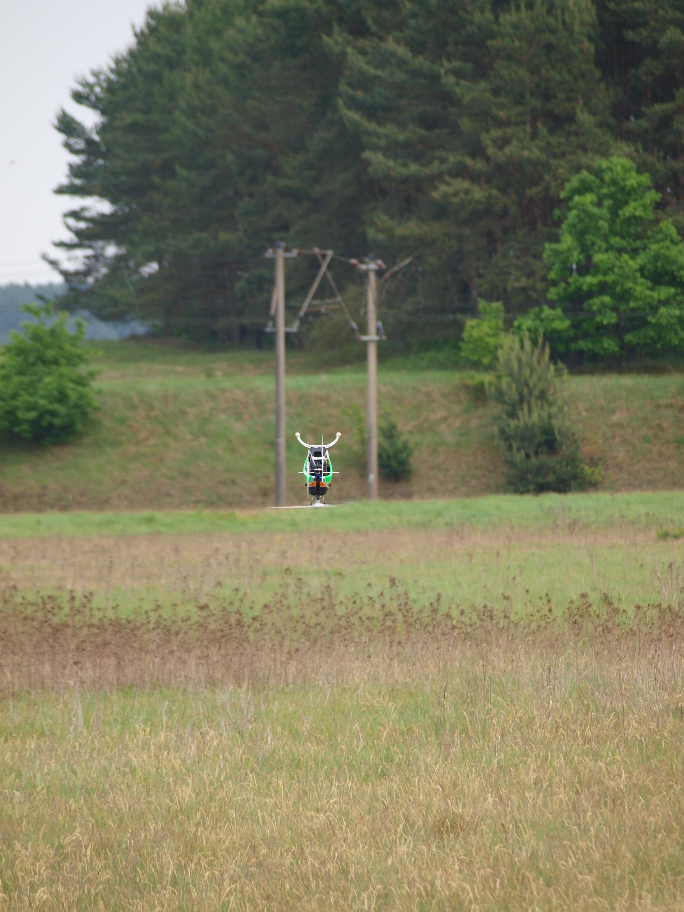 Fabi fliegt ohne Blätter...