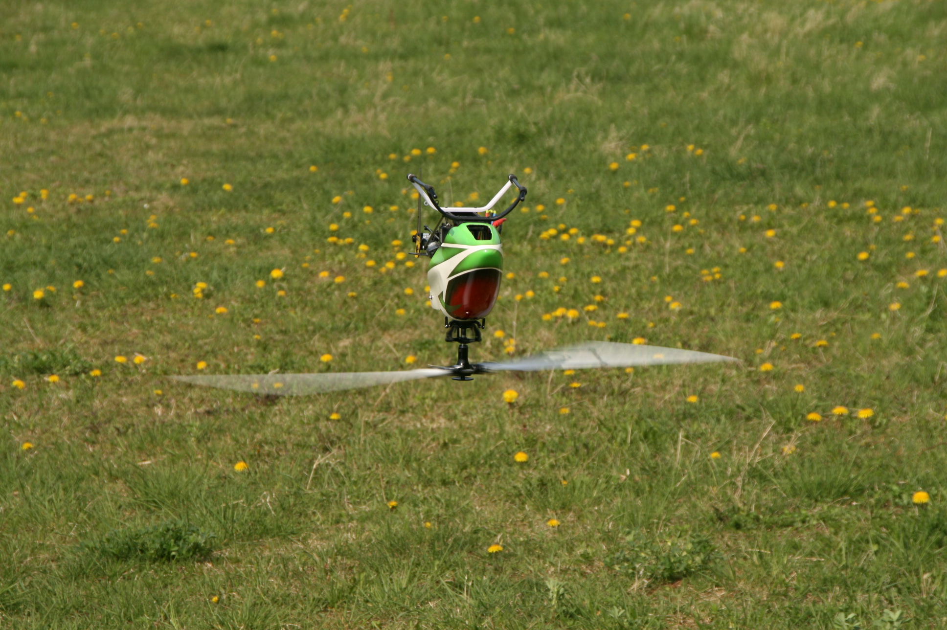 IMG_5781.JPG