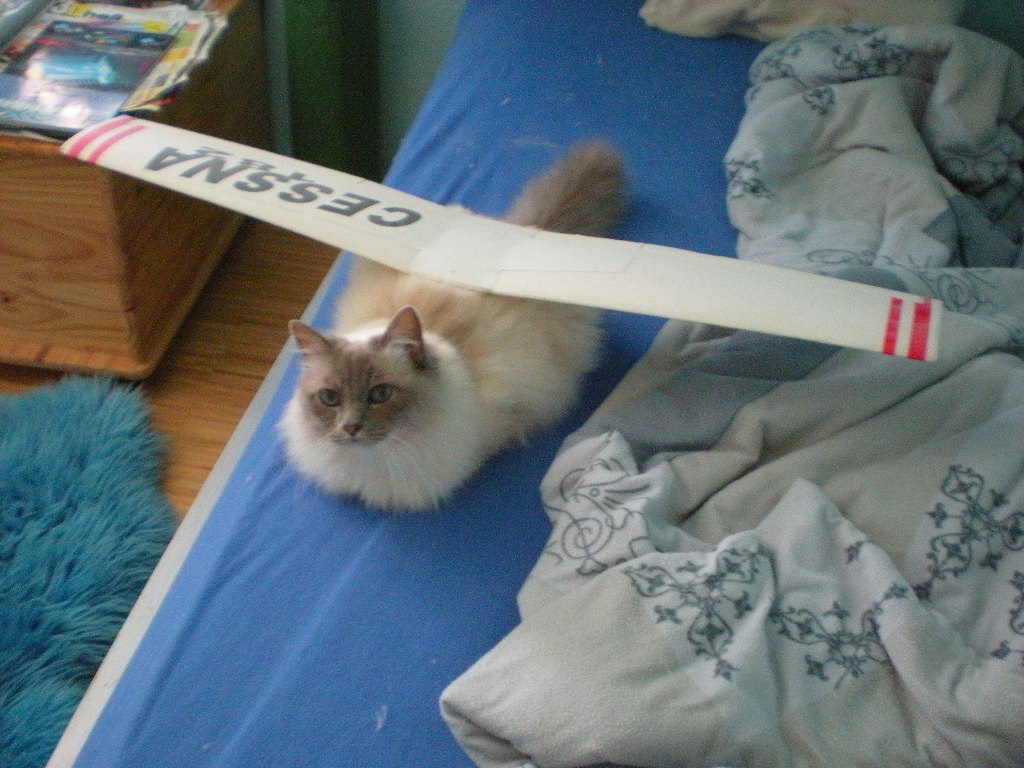 DSCN5694.JPG