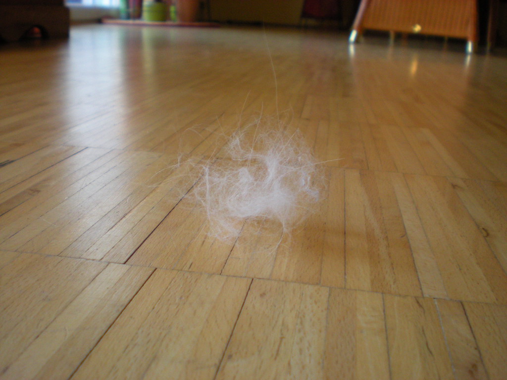 DSCN5695.JPG