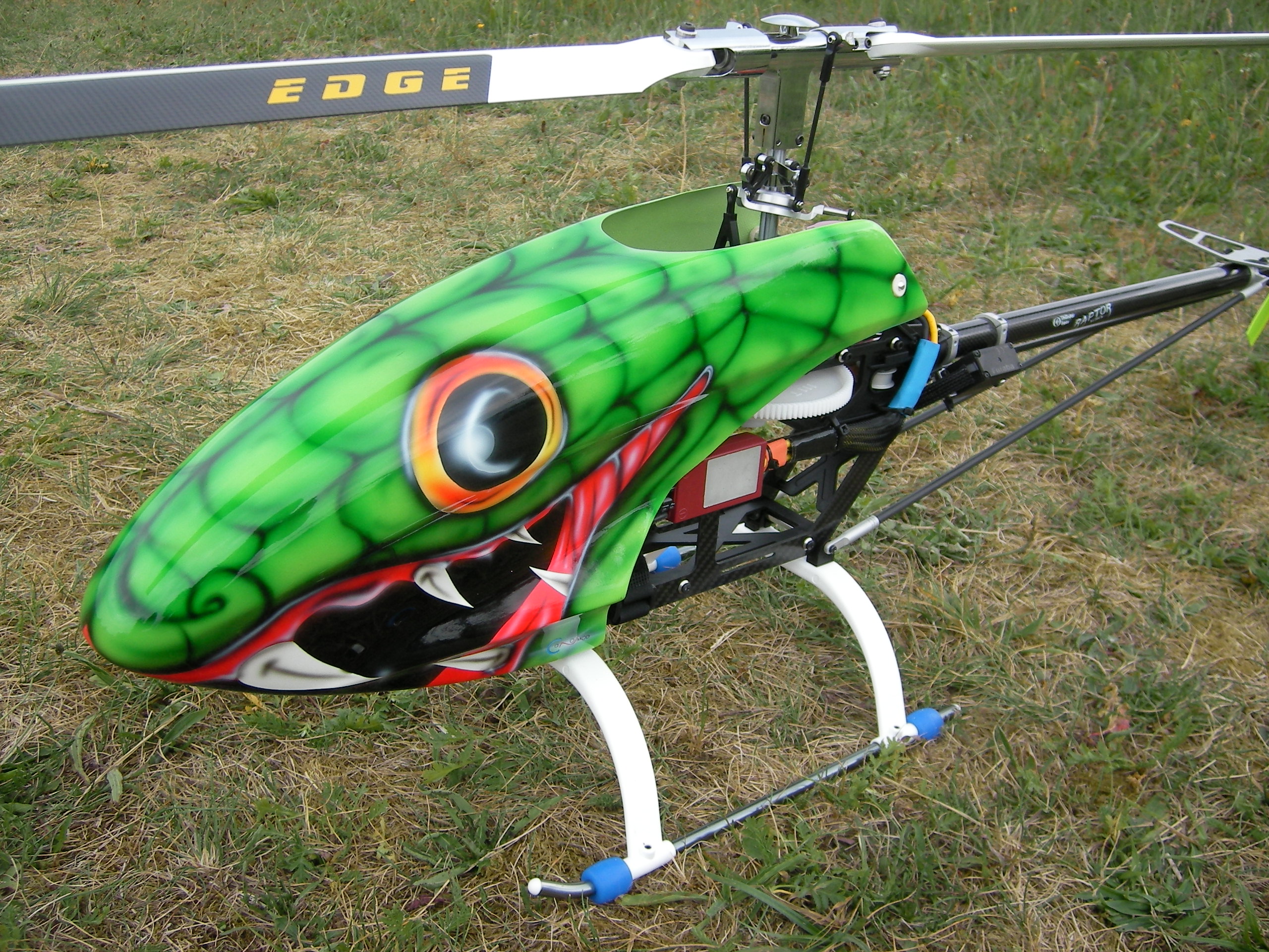 Raptor_Neuaufbau_08.JPG