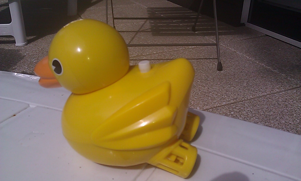 IMAG0090.jpg