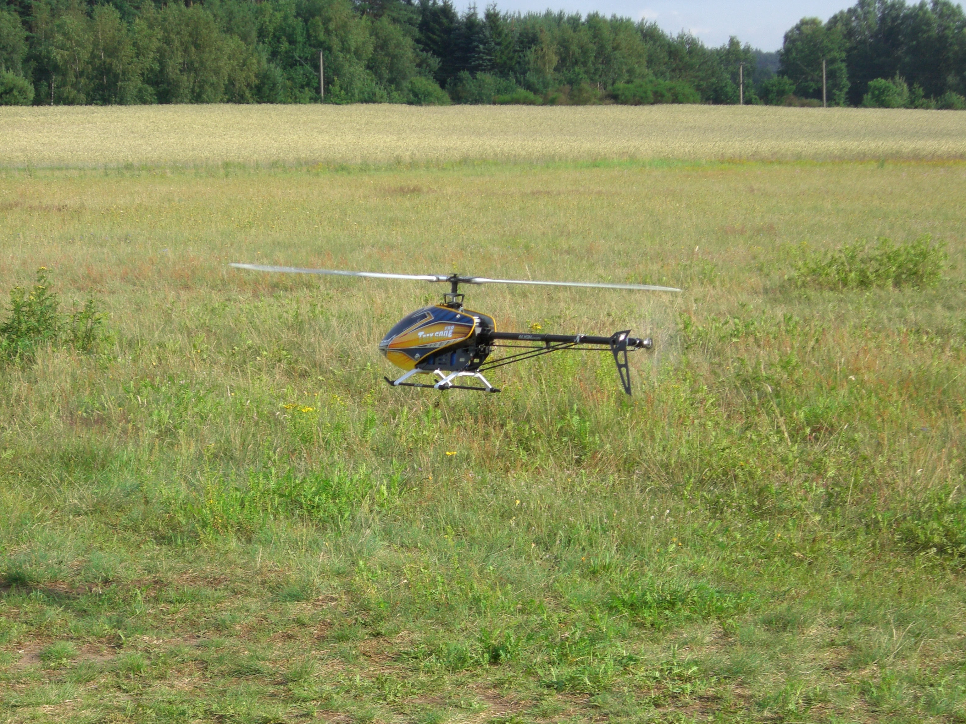 CIMG2384.JPG