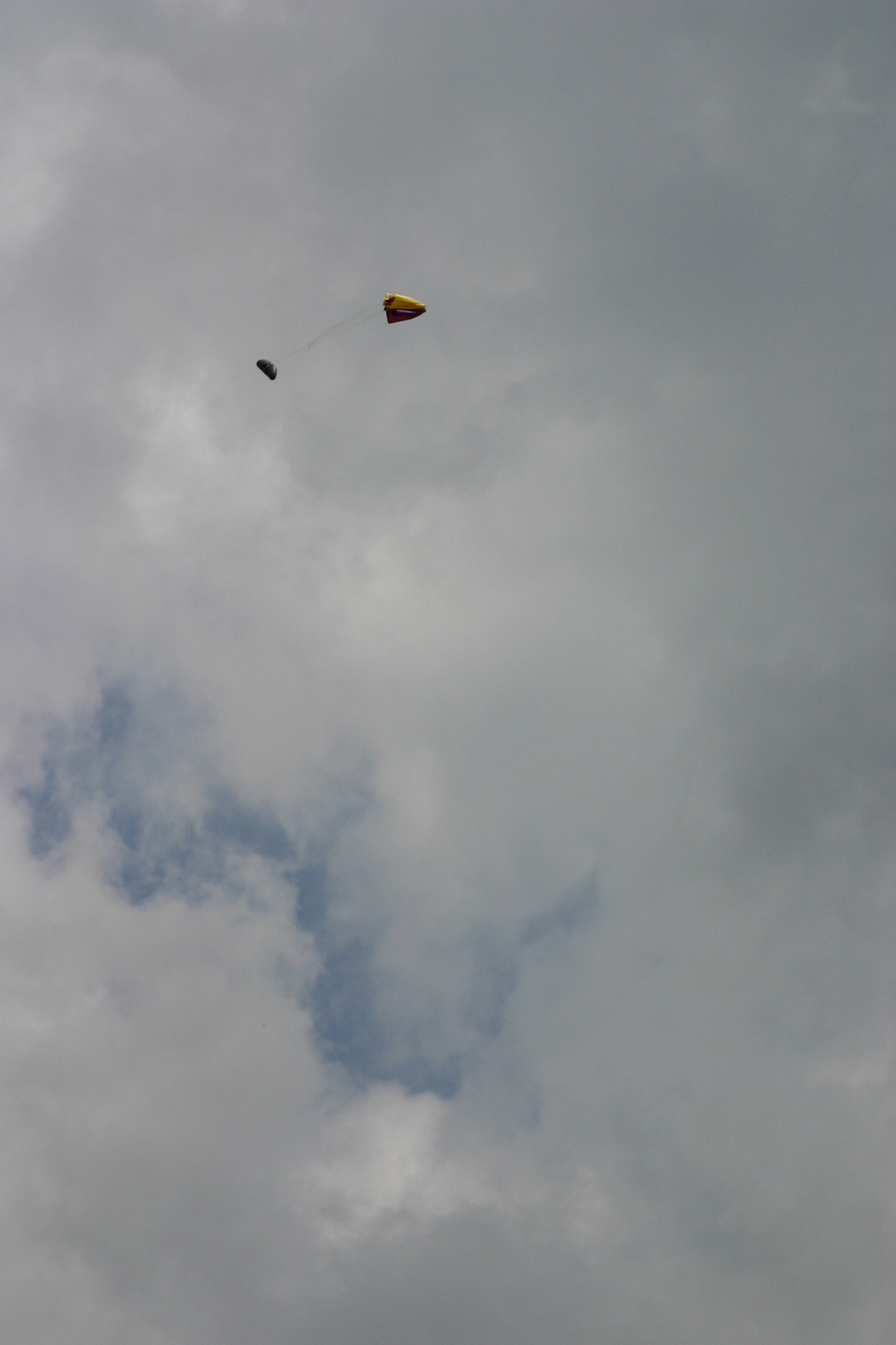 IMG_4410_small.jpg