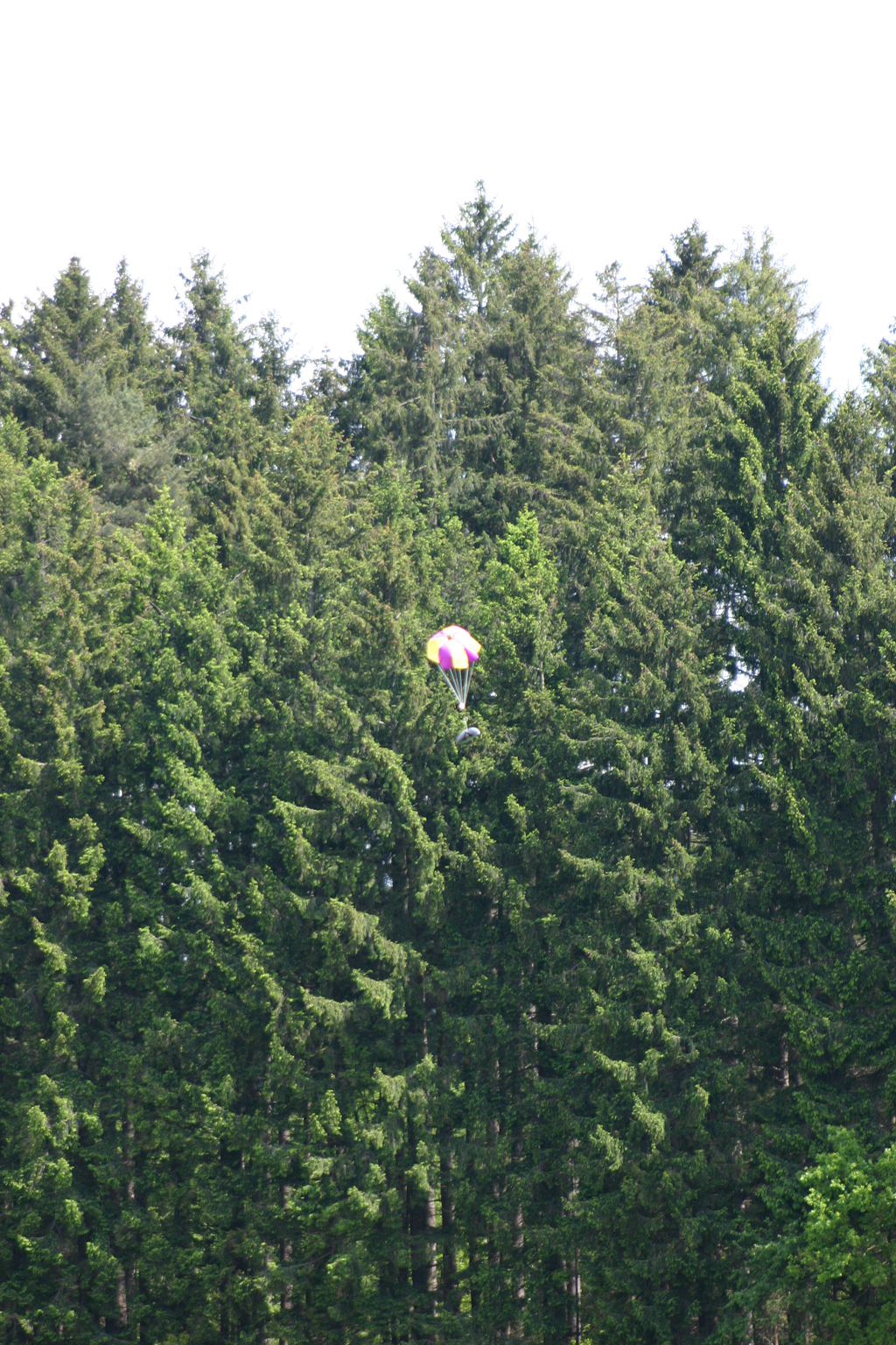 IMG_4414_small.jpg