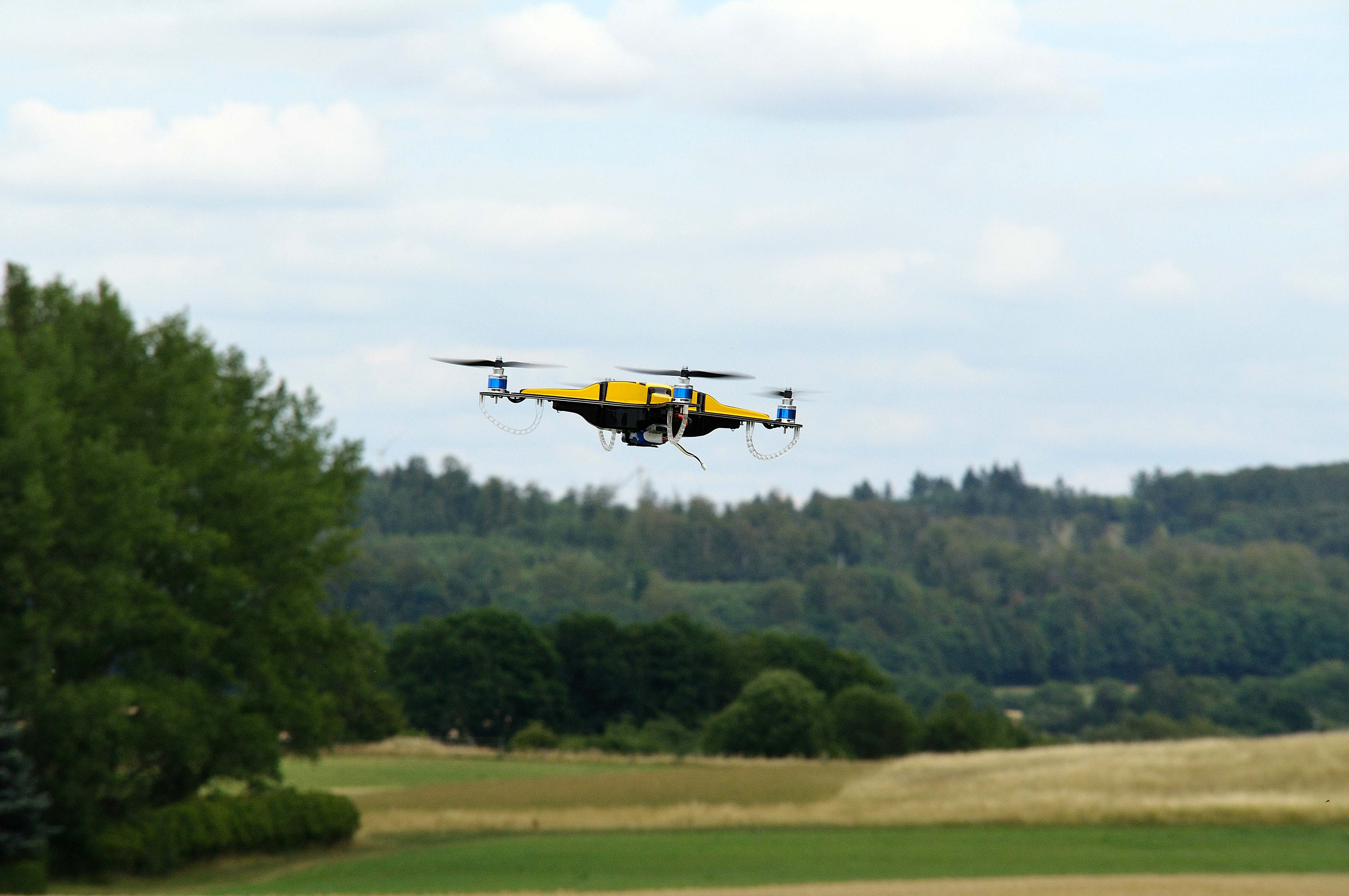 comp_DSC_6086.jpg