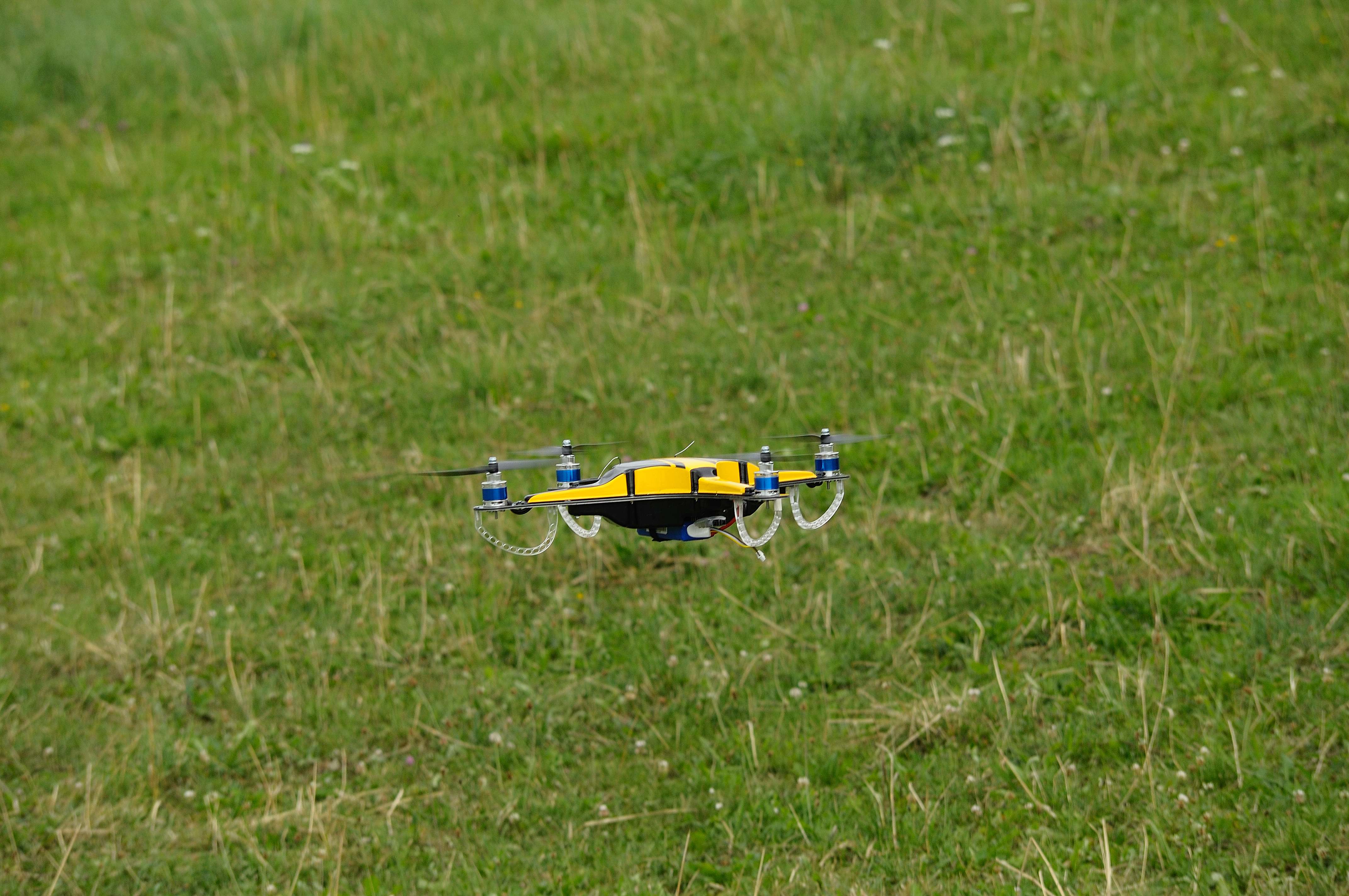 comp_DSC_6087.jpg