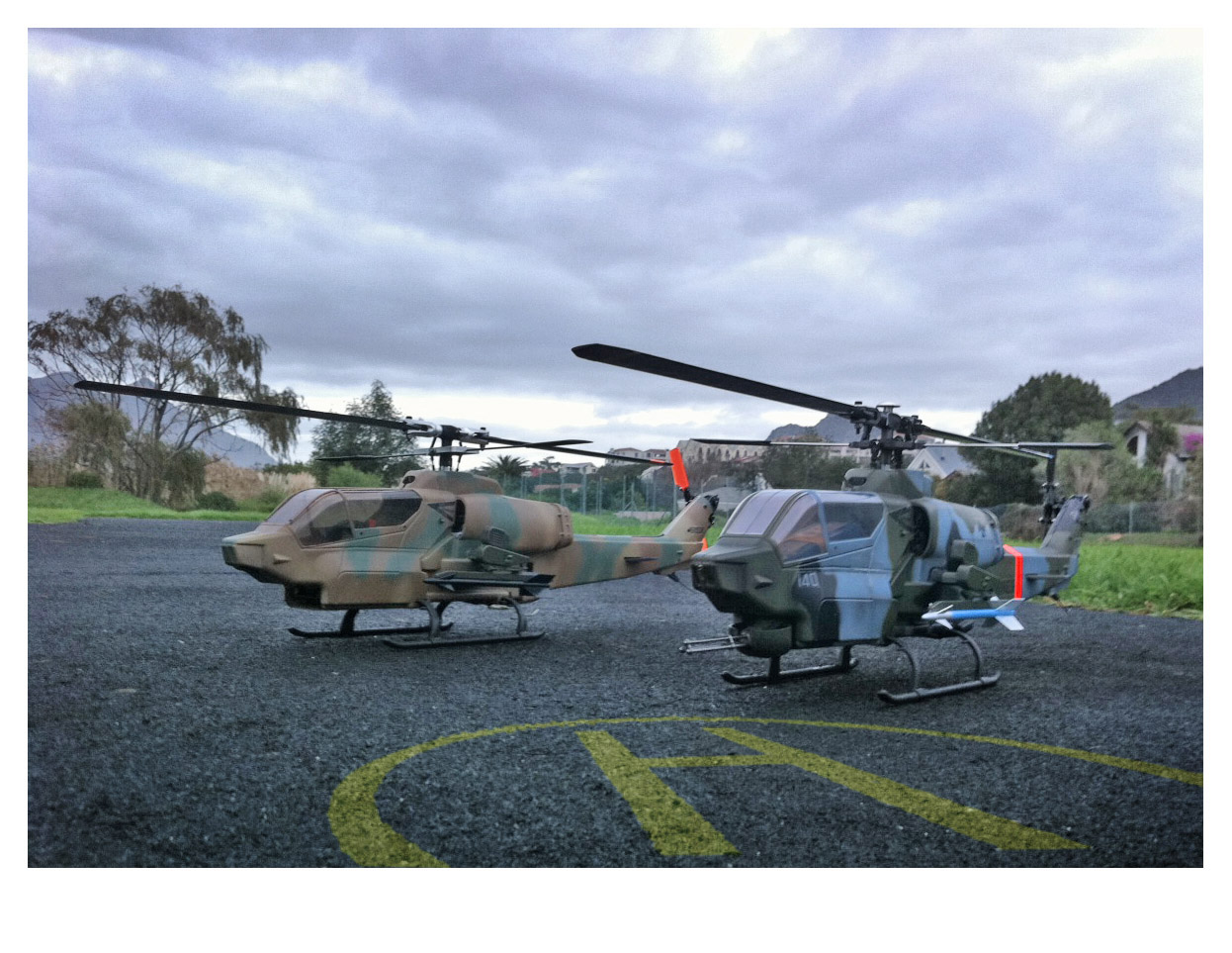 cobras on call.jpg