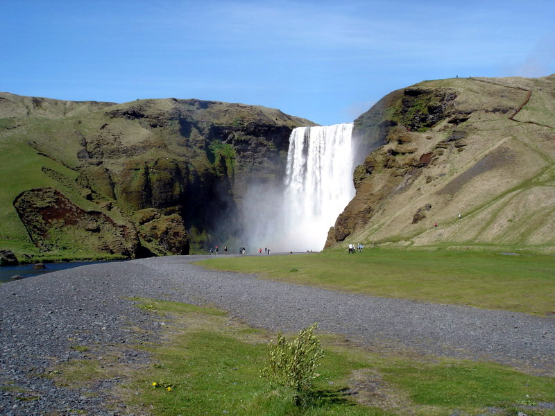 DSC06944.jpg
