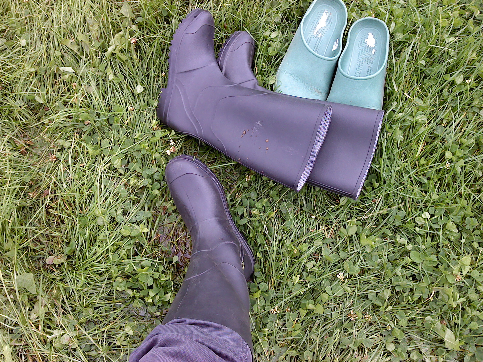 P240711_09.57_[01].jpg