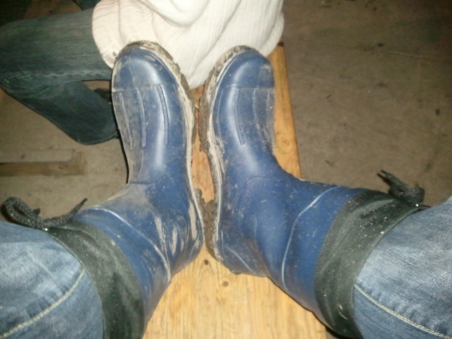 Foto0313.jpg