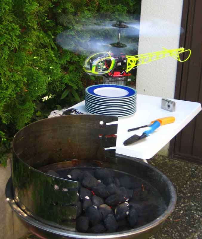 Urlaubszeit Grillzeit - das Lama hilft