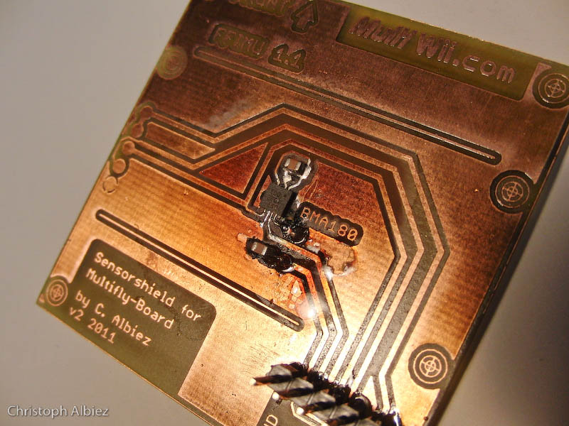 neues zuhause für den Übeltäter