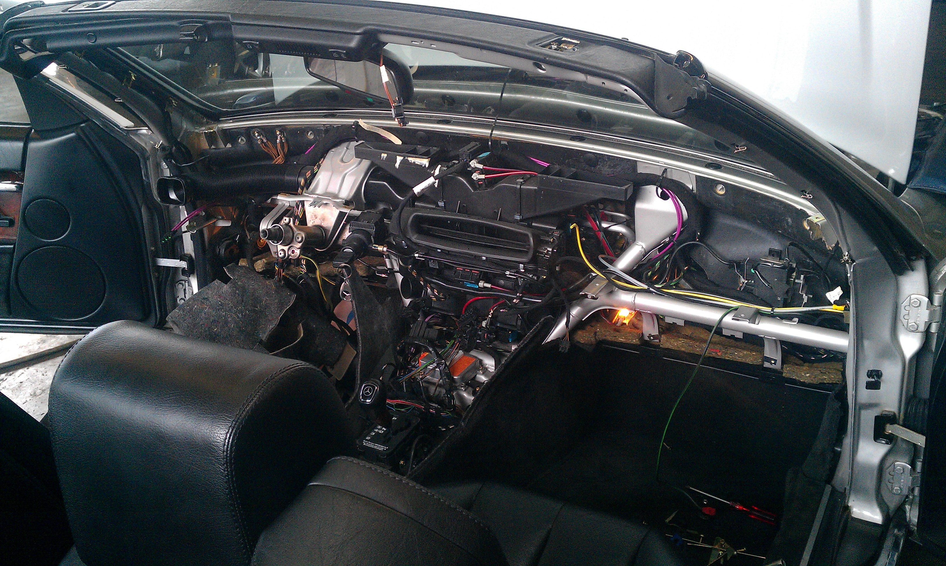 IMAG0806.jpg
