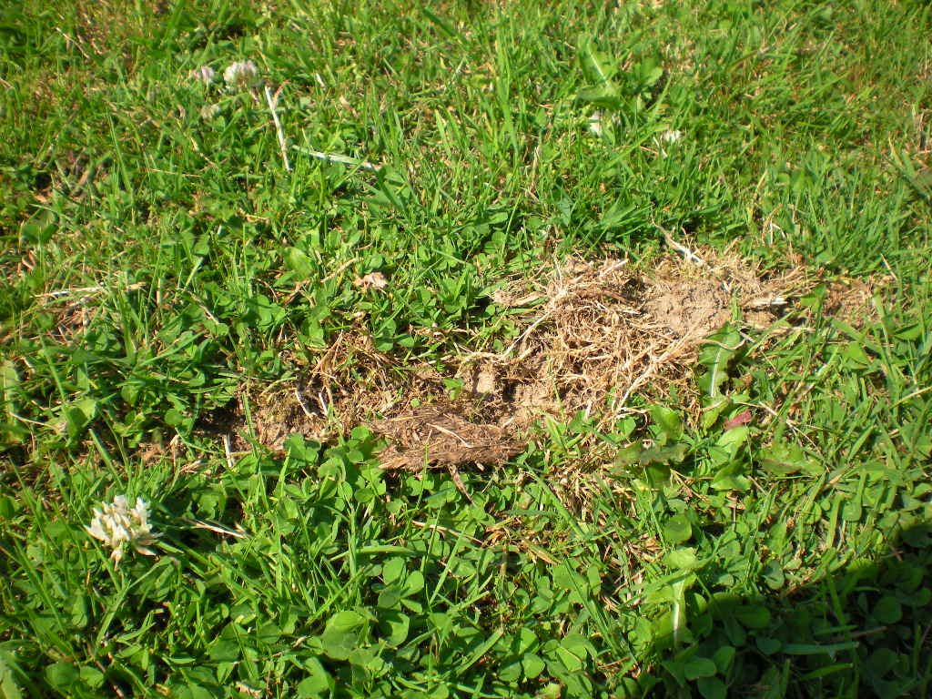 DSCN5845.JPG