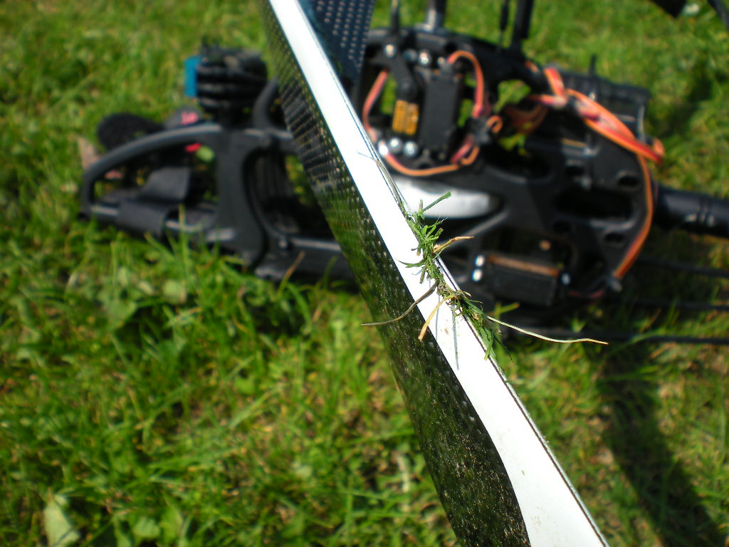 DSCN5850.JPG