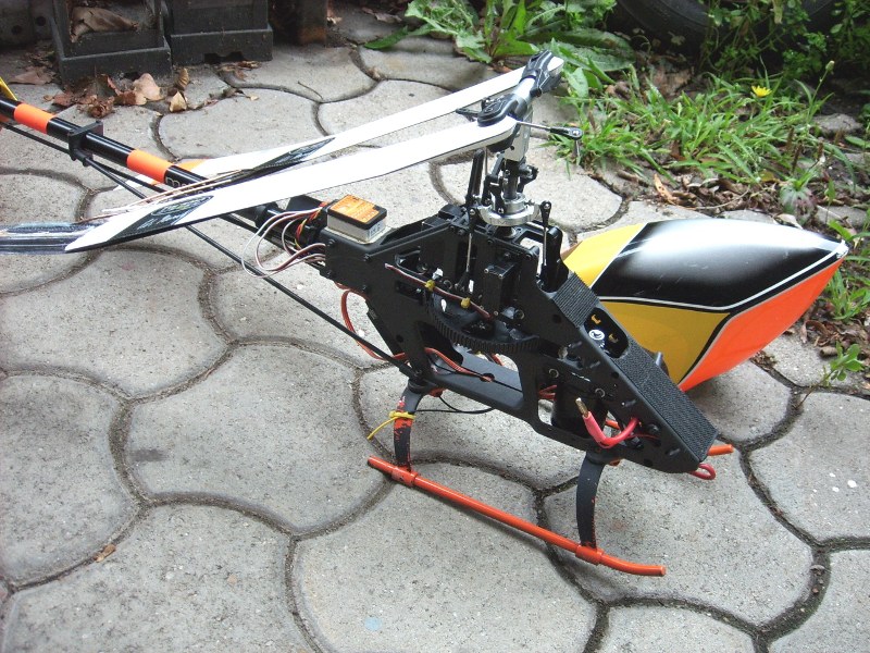 DSCI0157.JPG