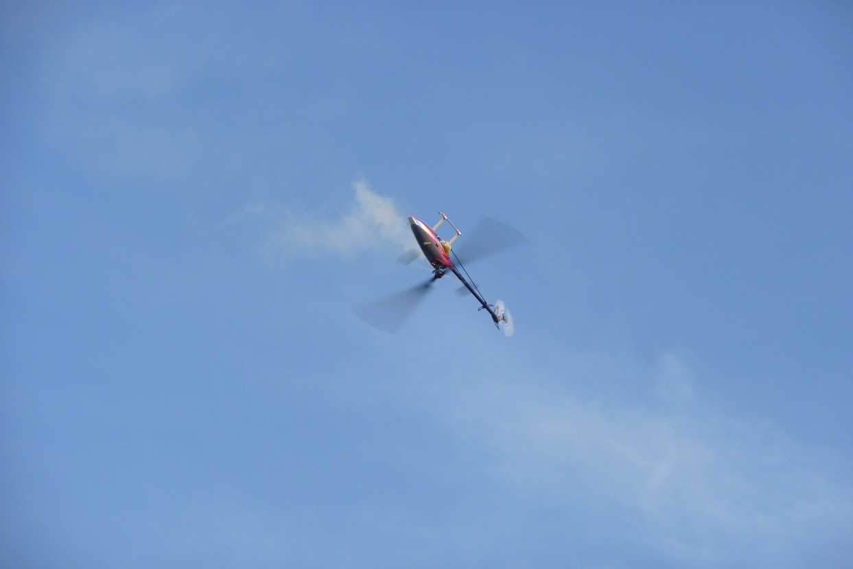 k-P1070818.JPG