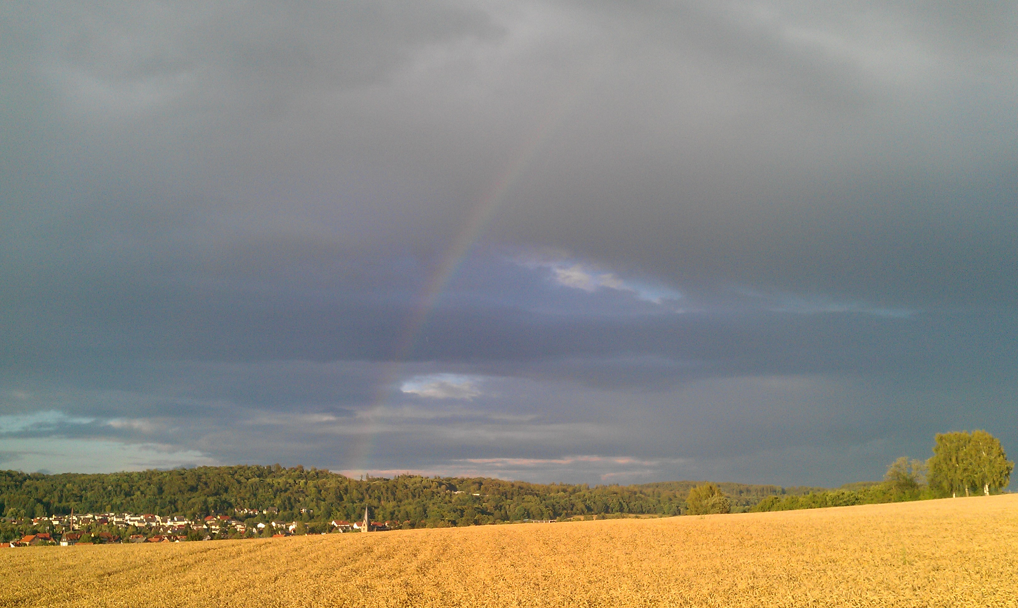 IMAG0981.jpg
