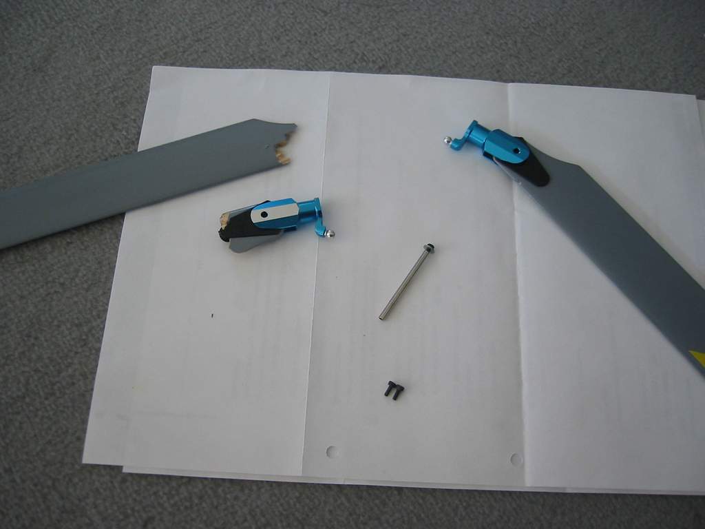 IMG_5539_small.JPG