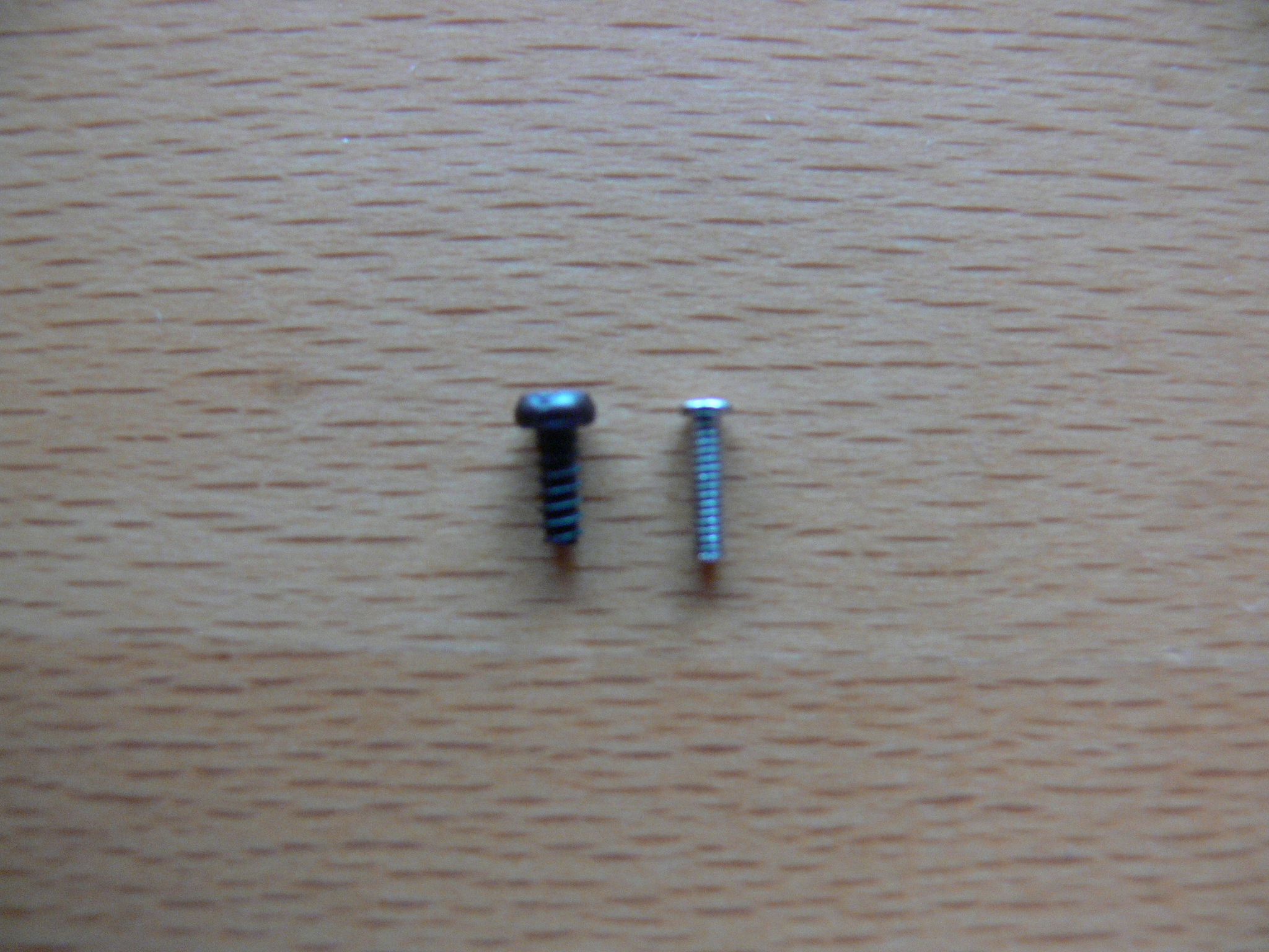 P1120627.JPG