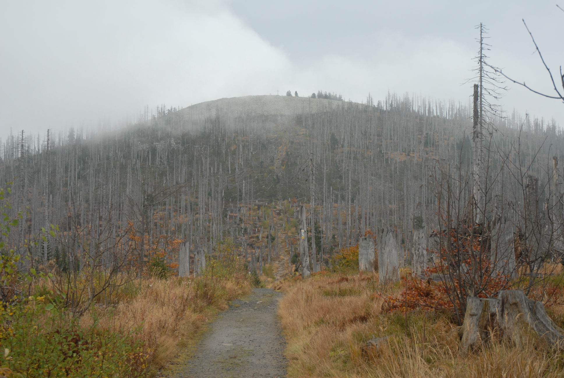 Lusen_2820.JPG