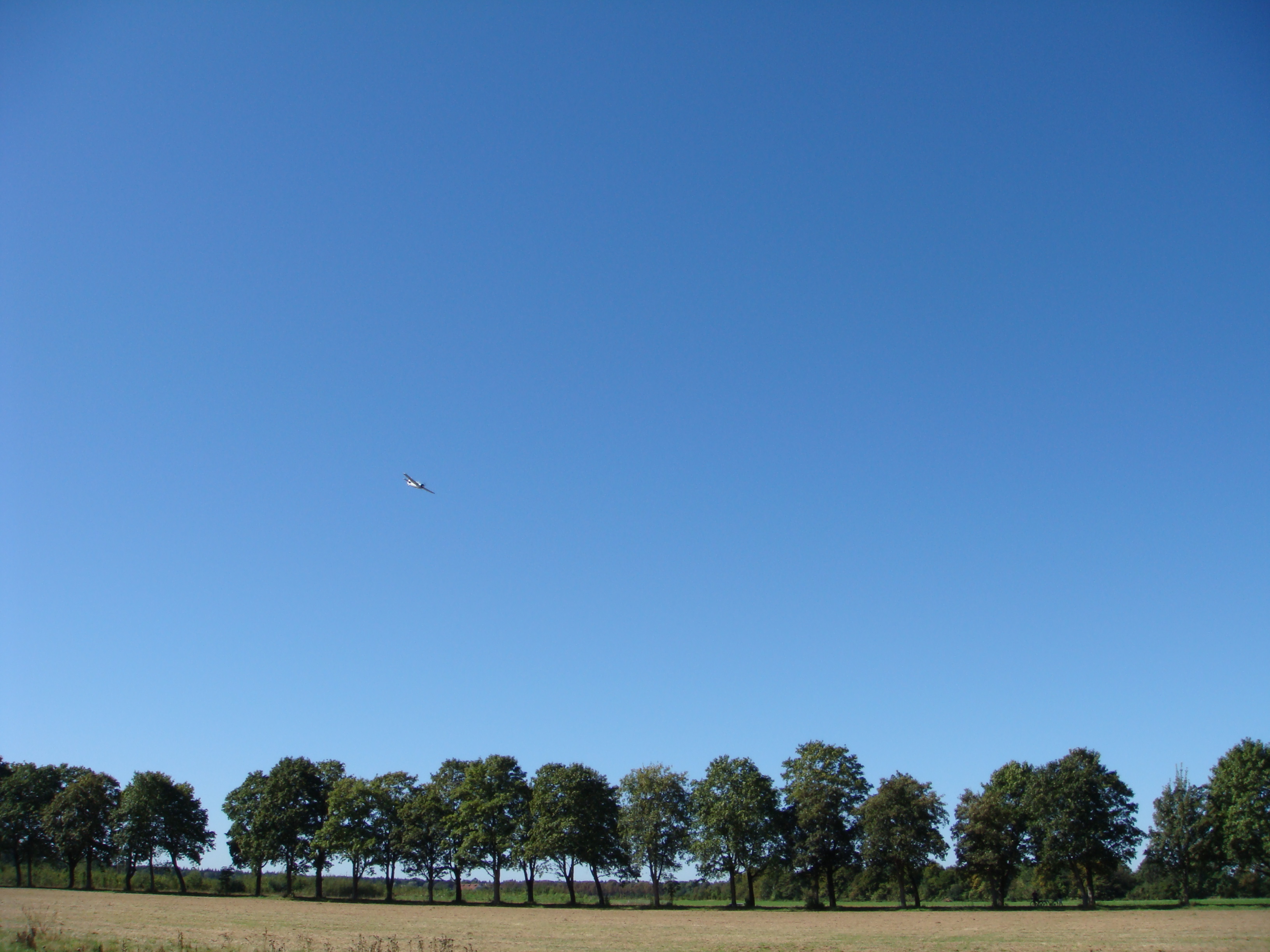 DSC01004.JPG