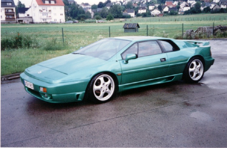 Lotus2.jpg