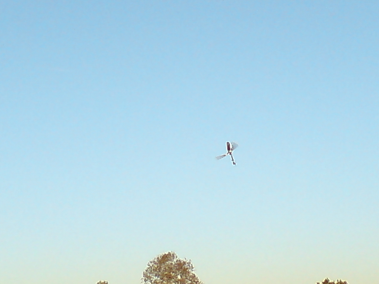 DSC00032.JPG