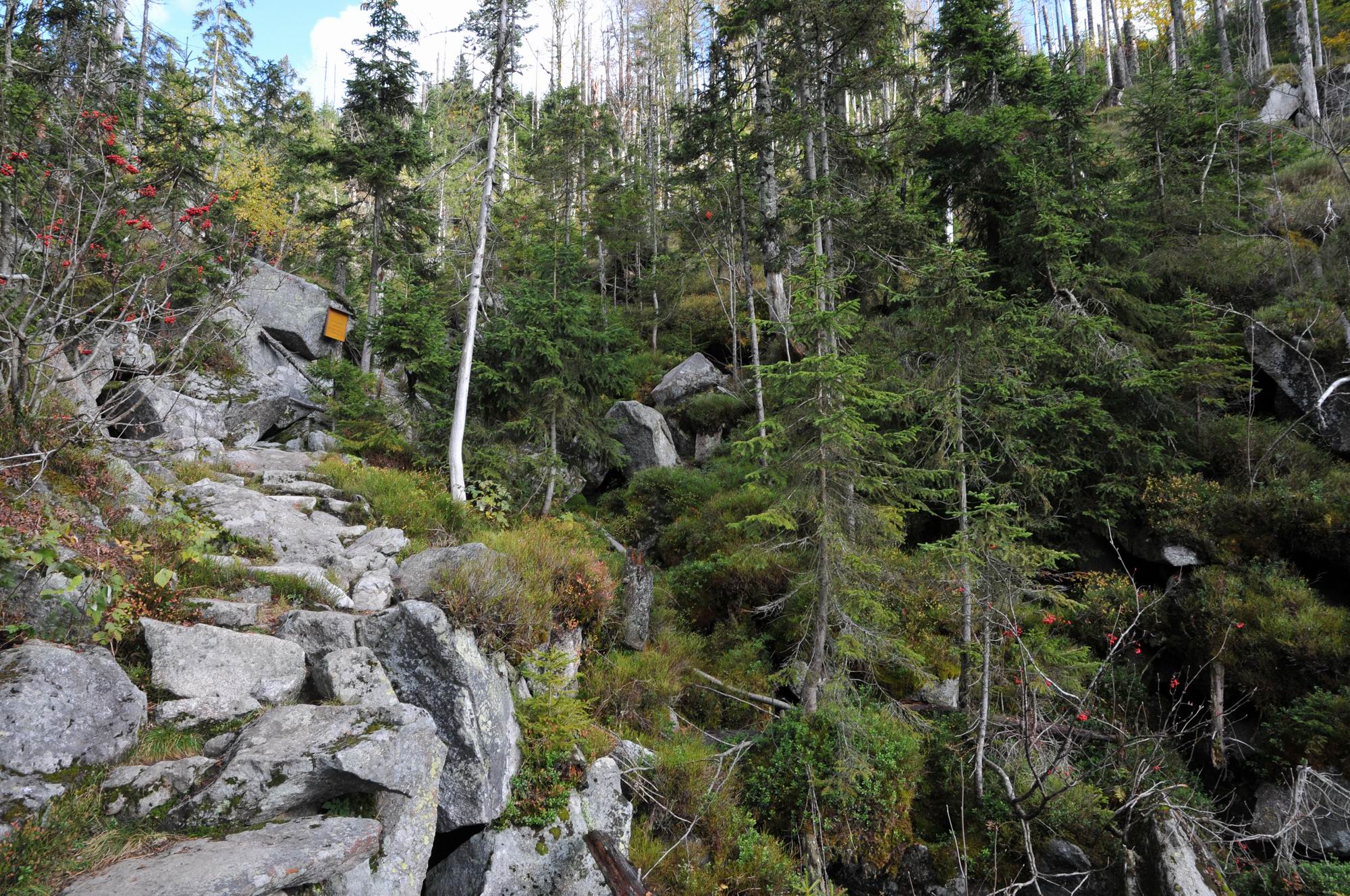 Lusen Teufelsloch.JPG