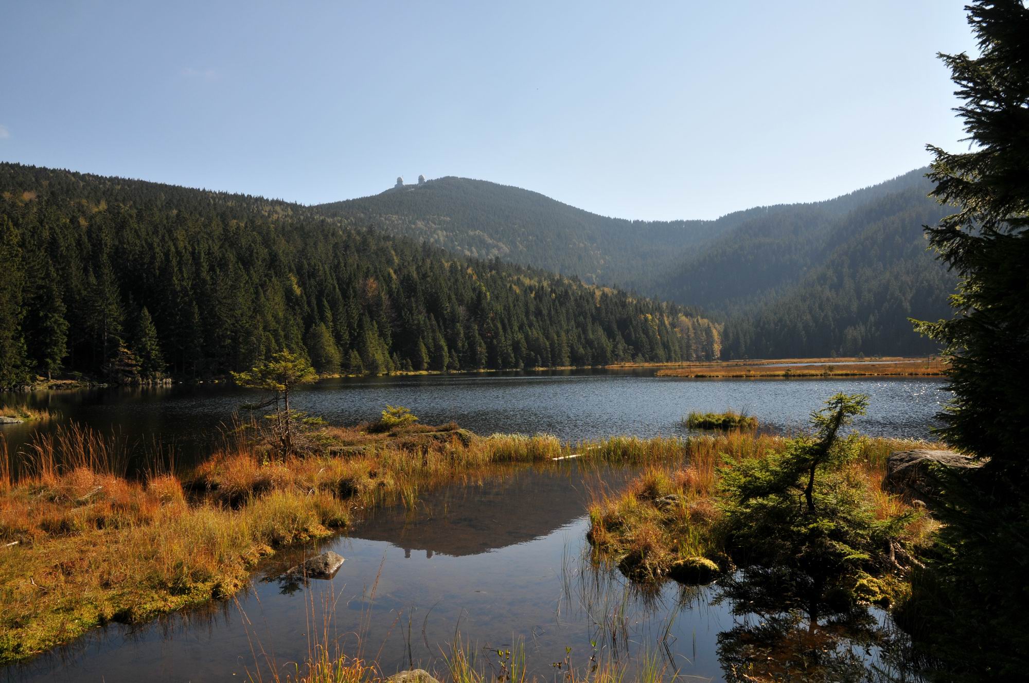 kleiner Arbersee mit schwimmenden Inseln