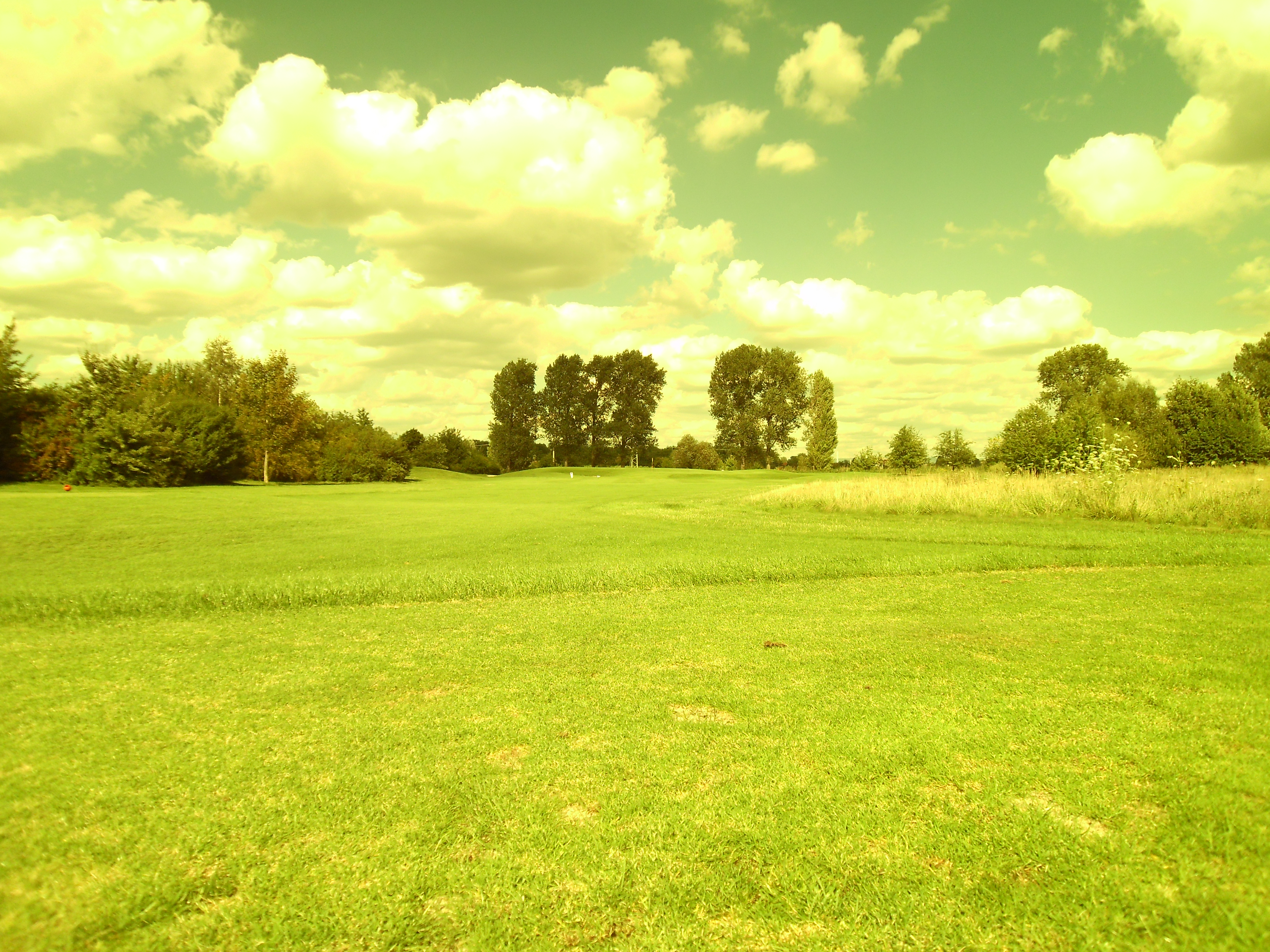 PICT0029.JPG