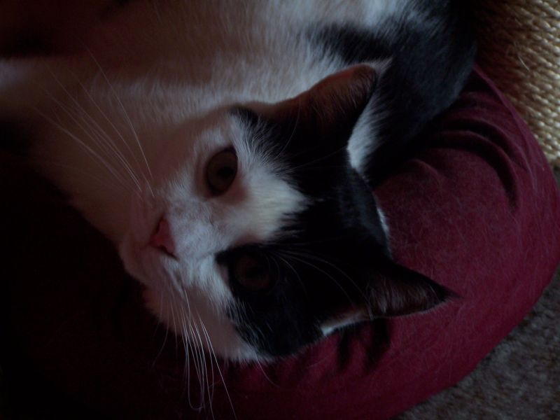 Uschi