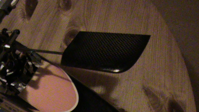 T-Rex 450Pro - Carbon-Paddel.JPG